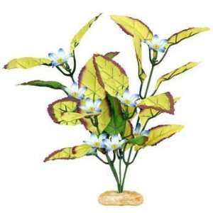  ColorBurst Florals Willow Leaf Plant Small