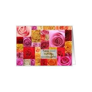   patchwork roses   Rose June Birth Month Flower Card: Toys & Games