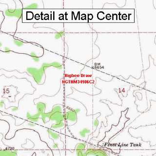  USGS Topographic Quadrangle Map   Bigbee Draw, New Mexico 