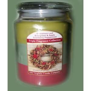 Old Virginia Candle Company 26 Oz Holiday Home Candle 
