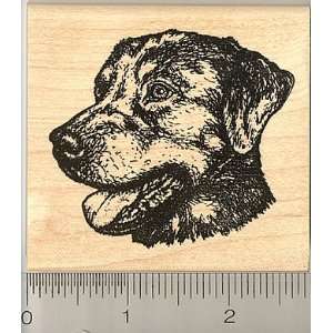  Rottweiler Dog Rubber Stamp: Arts, Crafts & Sewing