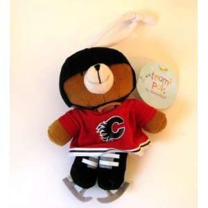   Flames Musical Plush Pull Down Bear Baby Toy: Sports & Outdoors