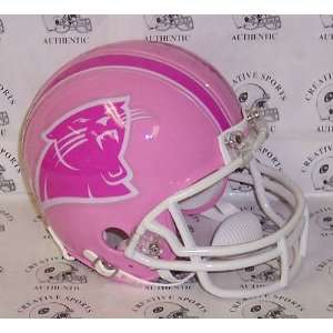  Carolina Panthers   Riddell Pink Mini Helmet: Sports 