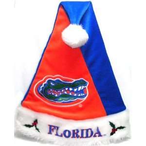  Florida Gators Colorblock Santa Hat: Sports & Outdoors