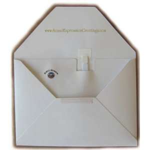   Recordable Greeting Card Envelopes (6.25 X 8.25 inch): Everything Else