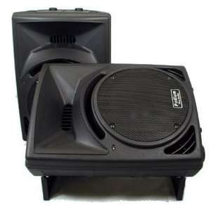   Audio 10 Two Way ABS Plastic Speaker Pair PP1010: Musical Instruments