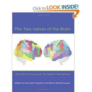  The Two Halves of the Brain Information Processing in the 