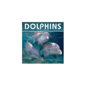    Dolphins 2009 Calendar (9781599577739) Time Factory Books