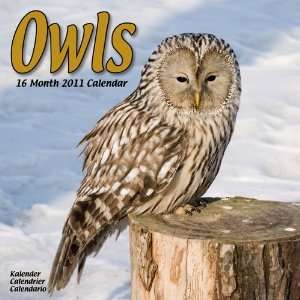  Owls 2011 Wall Calendar #30134 11 (9781849810227 