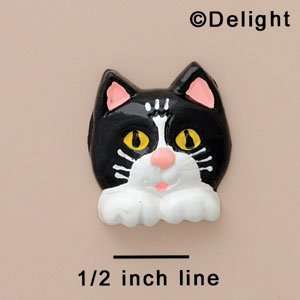   White Cat Face with Paws   Flat Back Resin Decoration: Home & Kitchen