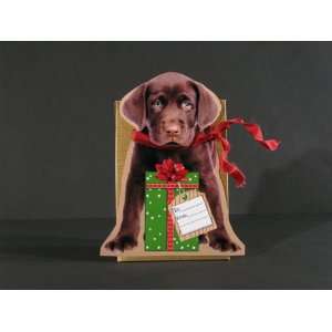  Gift Card Holder Outrageous Gift Card Box   Choc. Lab 