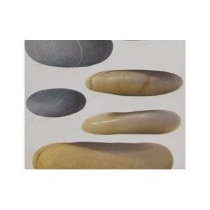  Removable Wall Decor   Assorted Rocks