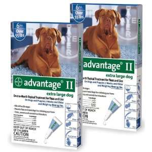   MONTH Advantage II Flea Control (for Dogs Over 55 lbs)