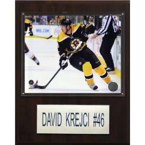  NHL David Krejci Boston Bruins Player Plaque Sports 