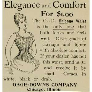 1893 Ad Chicago Waist Corset Gage Downs Undergarments Fashion 