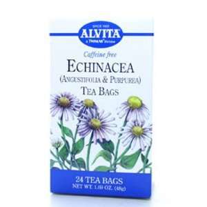  Echinacea Tea Bag (24TB ): Health & Personal Care
