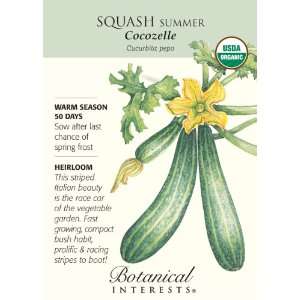  Squash Summer Cocozelle Organic Zucchini Seed: Patio, Lawn 