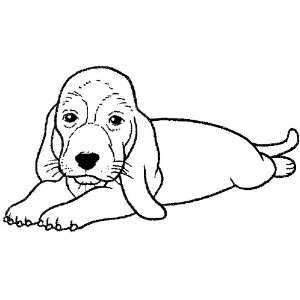  Puppy Dog Basset hound Rubber Stamp Wm 2.5x1.5 Arts 