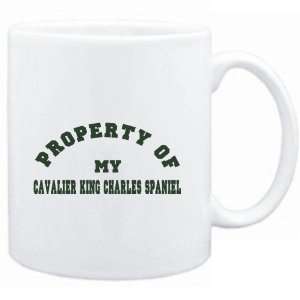   PROPERTY OF MY Cavalier King Charles Spaniel  Dogs: Sports & Outdoors