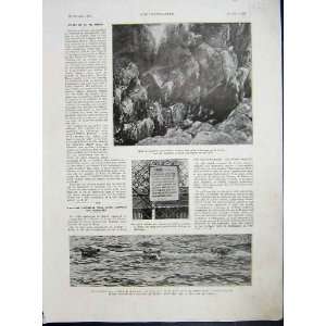  Marine Polar Bear Greenland Arctic French Print 1933: Home 
