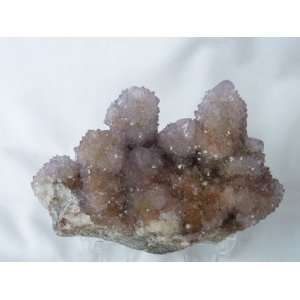   Citrine Cactus Spirit Quartz Crystal Cluster, 8.28.4 