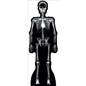  X Ray Skeleton Lifesized Standup: Toys & Games