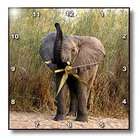 3dRose LLC Wild animals   Elephant   Wall Clocks