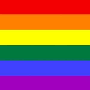  Rainbow Flag Lapel Pin 