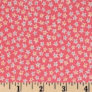  44 Wide Three Bears Stars Pink Fabric By The Yard: Arts 