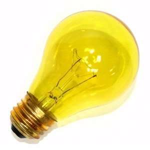   /TY/RP 125V Standard Transparent Colored Light Bulb