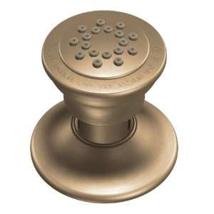  Moen A501BB Body Spray for M PACT System, Brushed Bronze 