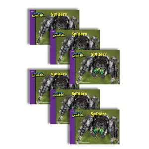  Creative Teaching Press CTP6718 Spiders 6 Pack I Used To 