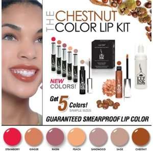  LIP INK® Chestnut Color Lip Kit