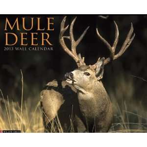  Mule Deer 2013 Wall Calendar: Office Products