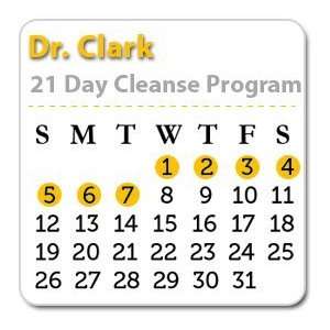  21 Day Cleanse Program 1 7: Health & Personal Care