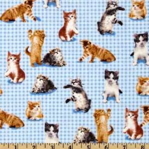  44 Wide Puppies and Kittens Kittens Allover Blue Fabric 