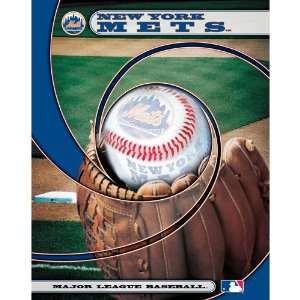 Turner New York Mets Portfolio (8101055)