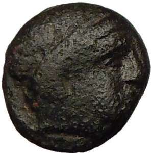   Great 336BC Rare Authentic Ancient Greek Coin APOLLO HORSE Everything