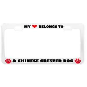  A Chinese Crested Dog Pet White Metal License Plate Frame 