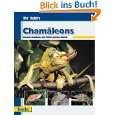 Chamäleons, Ihr Hobby von Dominik Kieselbach ( Gebundene Ausgabe 