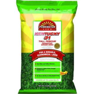 Pennington 10 Lb. Penkoted Kentucky 31 Fescue Grass Seed 148430 at The 