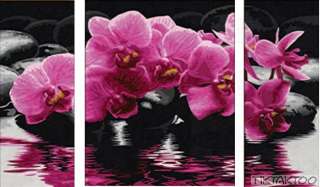 ORCHIDEEN Malen nach Zahlen Schipper Orchidee Triptychon Blüten 50x80 