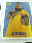   WWF Wrestling Collectible Trading Cards Brawler Akeem Horowitz Etc