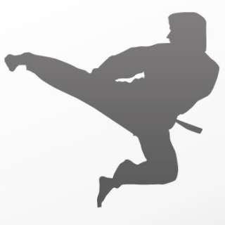 Karate kick Decal Sticker Martial Fighting Art ZK9RS  