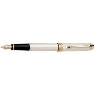    Aurora 88 Solid Sterling Silver Fountain Pen: Office Products
