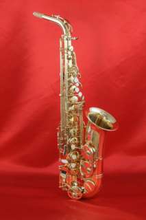 Chateau Alto Saxophone w/ Selmer Sax Care Kit, Brand New   Save 