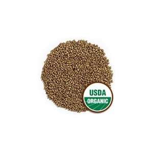 Certified Organic Alfalfa Sprout Seed  1 Lb  Seeds For: Salad Sprouts 