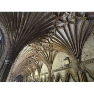  Vaulted Ceiling in the Cloister, Canterbury Cathedral 