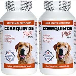Cosequin DS Plus MSM Joint Health Supplement for Dogs  