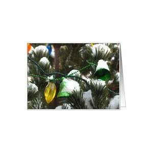  Merry Christmas, Ornaments and Lights on Outdoor Evergreen 